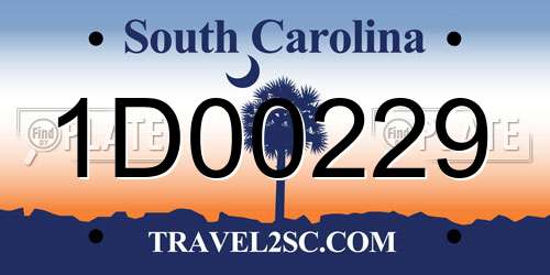 1D00229 South Carolina License Plate