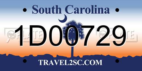 1D00729 South Carolina License Plate