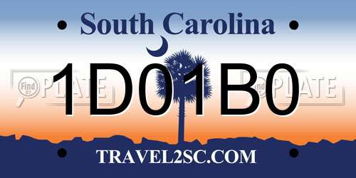 1D01B0 South Carolina License Plate