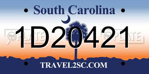 1D20421 South Carolina License Plate