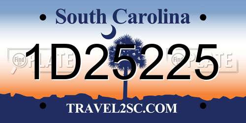 1D25225 South Carolina License Plate