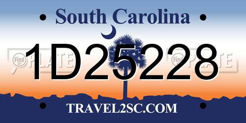 1D25228 South Carolina License Plate