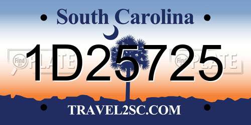 1D25725 South Carolina License Plate