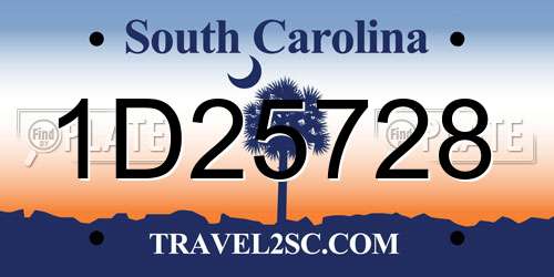 1D25728 South Carolina License Plate