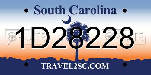 1D28228 South Carolina License Plate