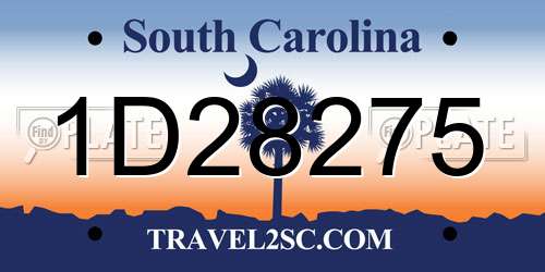 1D28275 South Carolina License Plate