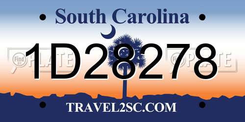 1D28278 South Carolina License Plate
