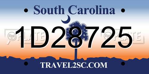 1D28725 South Carolina License Plate