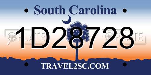 1D28728 South Carolina License Plate