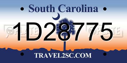 1D28775 South Carolina License Plate