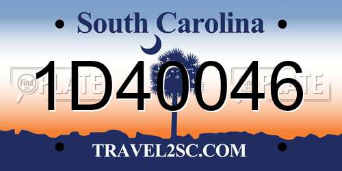 1D40046 South Carolina License Plate