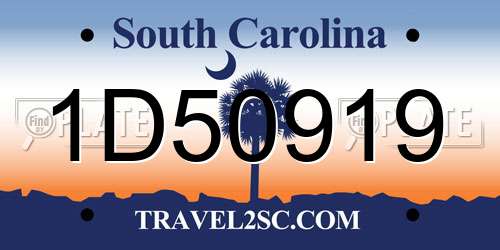 1D50919 South Carolina License Plate