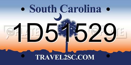 1D51529 South Carolina License Plate