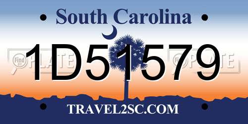 1D51579 South Carolina License Plate