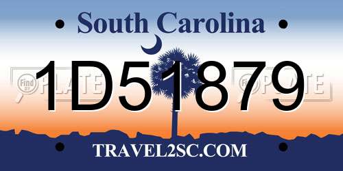 1D51879 South Carolina License Plate
