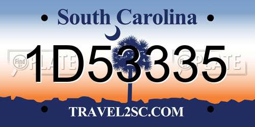 1D53335 South Carolina License Plate