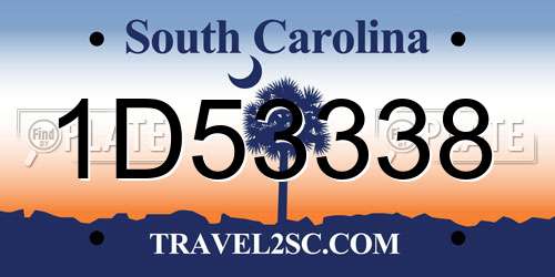 1D53338 South Carolina License Plate