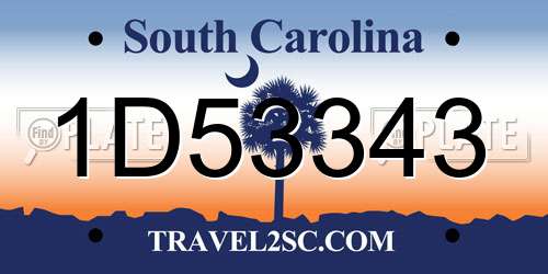 1D53343 South Carolina License Plate