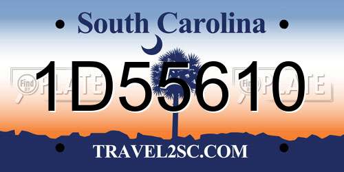 1D55610 South Carolina License Plate