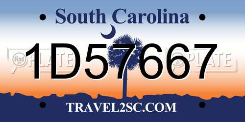1D57667 South Carolina License Plate
