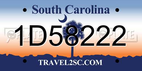 1D58222 South Carolina License Plate