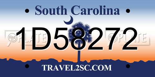 1D58272 South Carolina License Plate