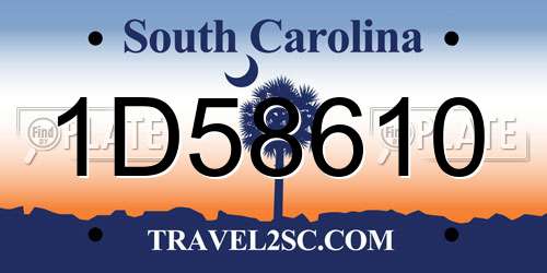 1D58610 South Carolina License Plate