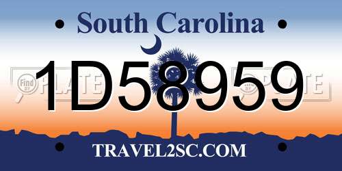 1D58959 South Carolina License Plate