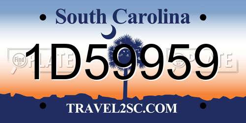 1D59959 South Carolina License Plate