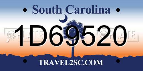 1D69520 South Carolina License Plate