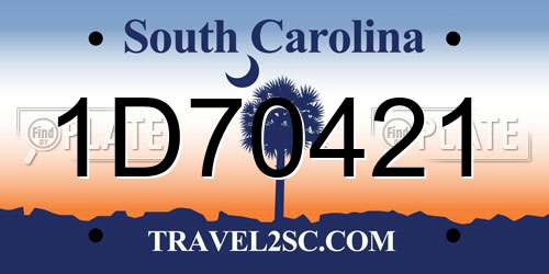 1D70421 South Carolina License Plate