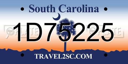 1D75225 South Carolina License Plate