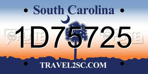 1D75725 South Carolina License Plate