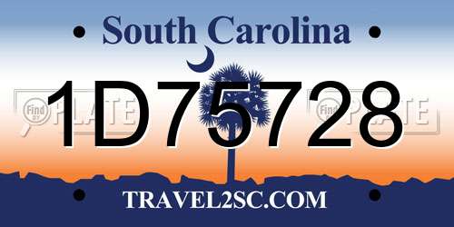 1D75728 South Carolina License Plate
