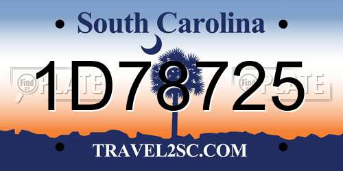 1D78725 South Carolina License Plate