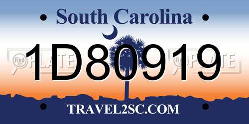 1D80919 South Carolina License Plate