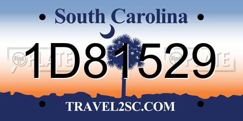1D81529 South Carolina License Plate