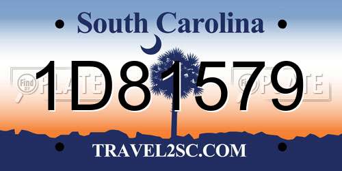 1D81579 South Carolina License Plate