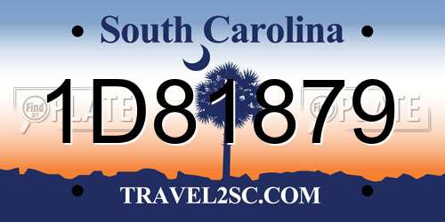 1D81879 South Carolina License Plate