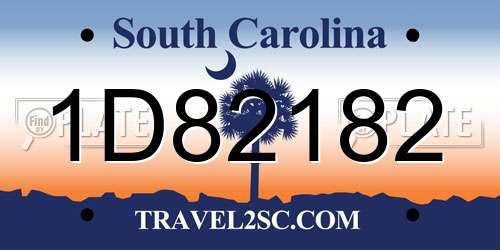 1D82182 South Carolina License Plate