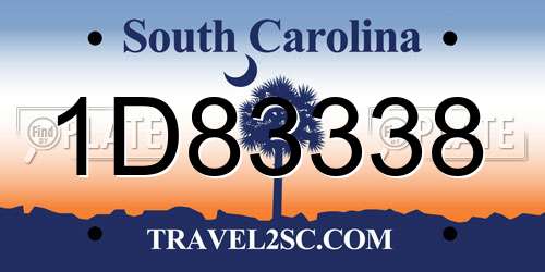 1D83338 South Carolina License Plate