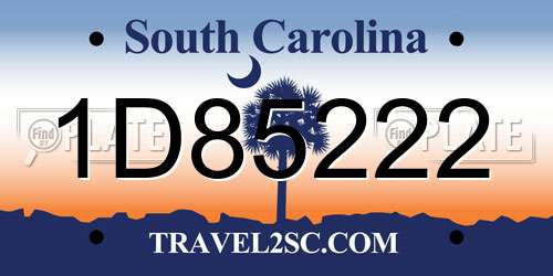 1D85222 South Carolina License Plate