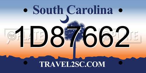 1D87662 South Carolina License Plate