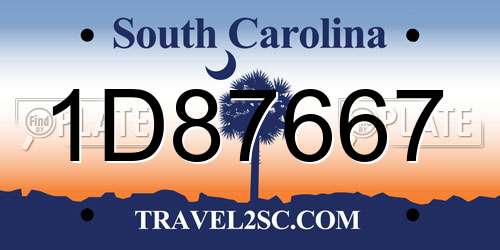 1D87667 South Carolina License Plate