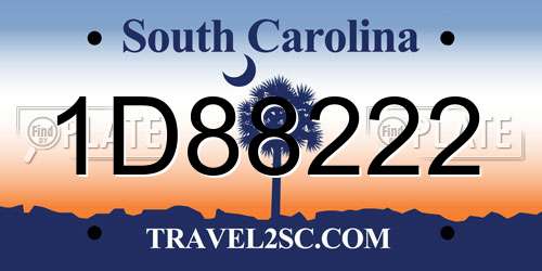 1D88222 South Carolina License Plate