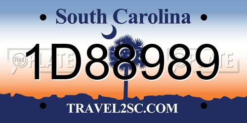 1D88989 South Carolina License Plate