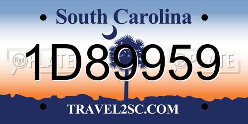 1D89959 South Carolina License Plate