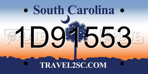 1D91553 South Carolina License Plate
