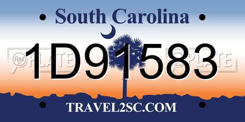 1D91583 South Carolina License Plate