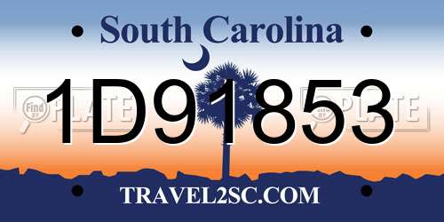 1D91853 South Carolina License Plate